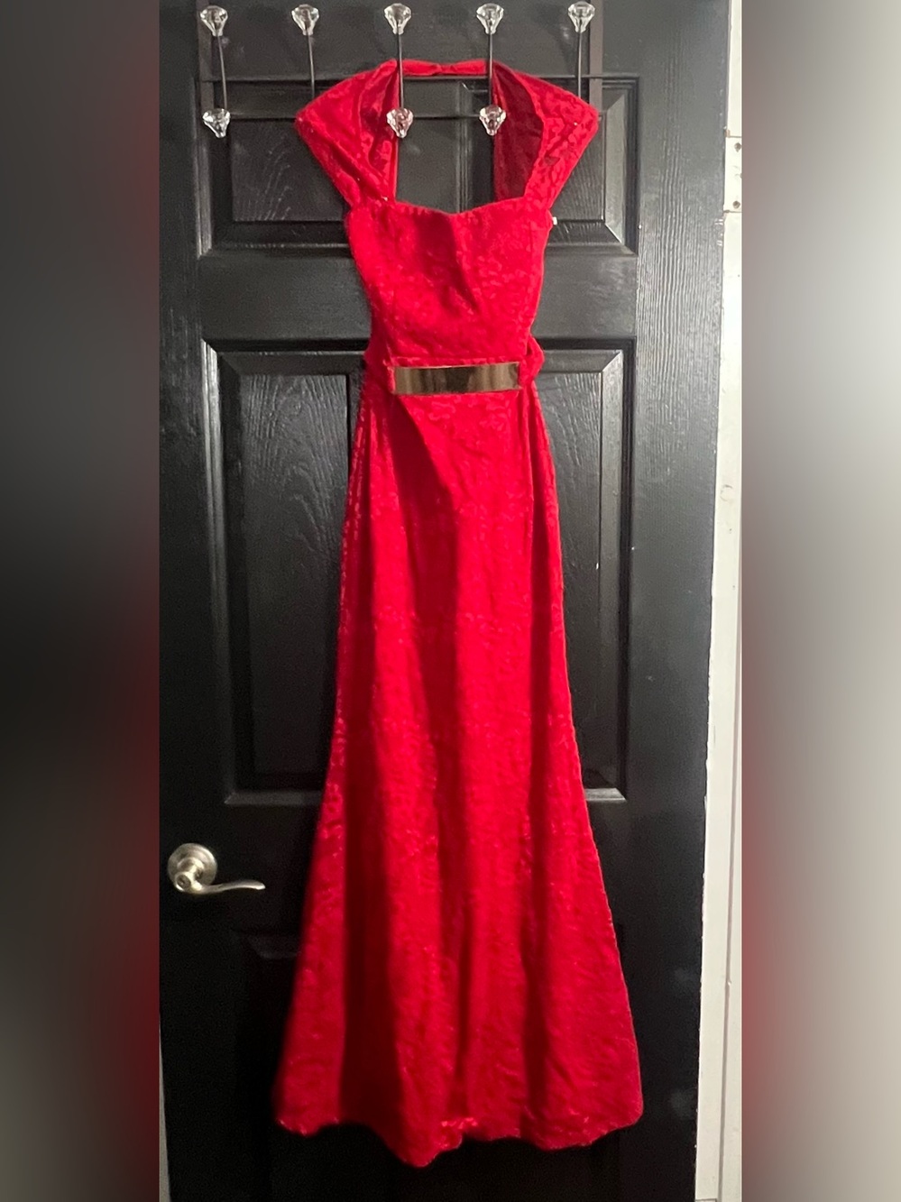 Red Lace Evening Gown with Gold Waist Accent